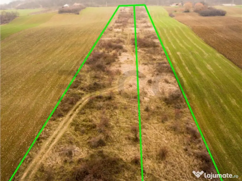 RECO Teren in Burzuc 13 041mp