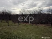 Teren intravilan 3052 mp | Băcești, Drăganu | asfalt | ut