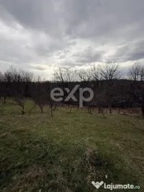 Teren intravilan 3052 mp | Băcești, Drăganu | asfalt | ut