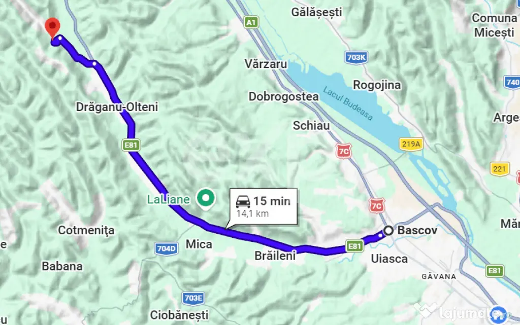 Teren intravilan 3052 mp | Băcești, Drăganu | asfalt | ut