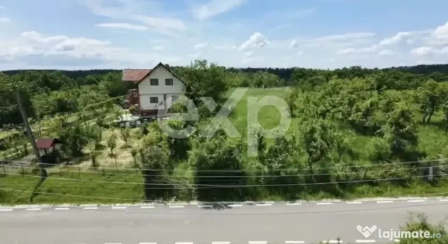 Teren intravilan 3052 mp | Băcești, Drăganu | asfalt | ut
