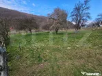 Teren intravilan generos de 4000 mp, cu priveliște montană