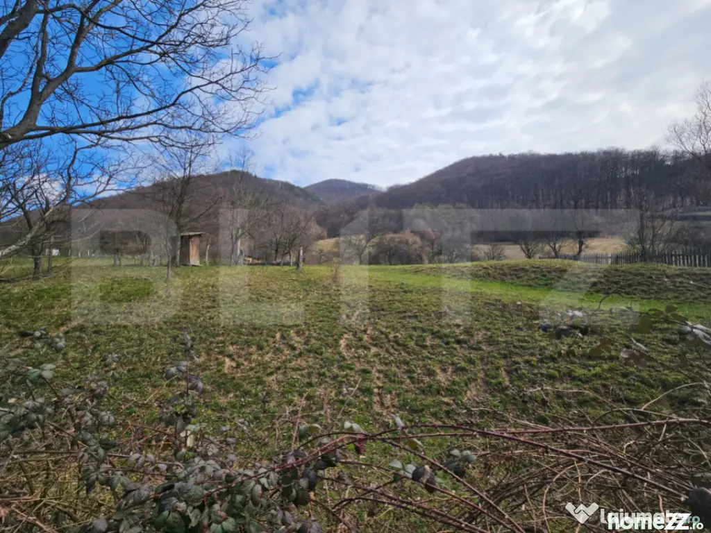 Teren intravilan generos de 4000 mp, cu priveliște montană