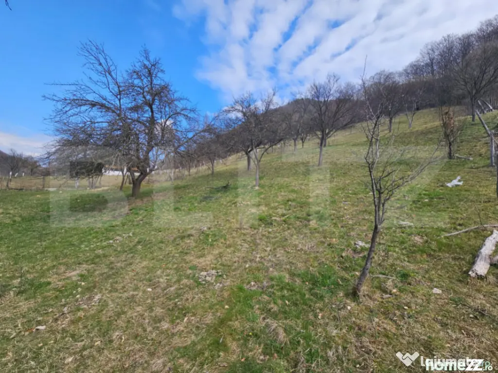 Teren intravilan generos de 4000 mp, cu priveliște montană