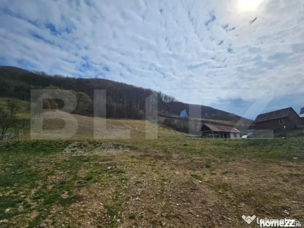 Teren intravilan generos de 4000 mp, cu priveliște montană