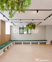 Calea Victoriei I Vila Monument Istoric I Consolidata si Ren 