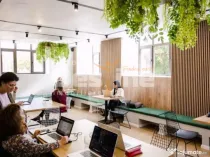 Calea Victoriei I Vila Monument Istoric I Consolidata si Ren