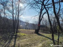 Teren cu vita de vie comuna Cristian judetul Sibiu 500mp