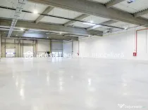 4646 mp - Hala industriala de inchiriat in Parc Industria...