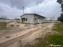 Hala 186 mp, Cosoveni, curte 2053 mp