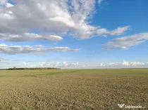 Teren intravilan  Frumusani  (Popesti-Vasilati)