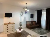 Garsoniera mobilata/utilata, LUX ,34 mp - Seasons Residence 