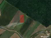 Teren Intravilan Padure Joita 