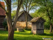 FILM! Oaza ta de liniste pe 4.900mp teren intravilan, Tufala 