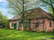 FILM! Oaza ta de liniste pe 4.900mp teren intravilan, Tufala 