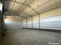 Zona industriala Hala Noua