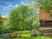 FILM! 4.900mp teren intravilan, cu casa, in Tufalau, Covasna 