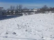 Teren intravilan 6345mp de viforata 