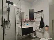 Theodor Pallady - penthouse 