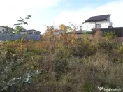 Teren intravilan -pozitie deosebita-langa padure-Domnesti-Teghes 