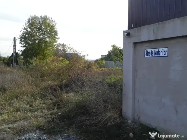 Teren intravilan -pozitie deosebita-langa padure-Domnesti-Teghes