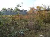 Teren intravilan -pozitie deosebita-langa padure-Domnesti-Teghes 