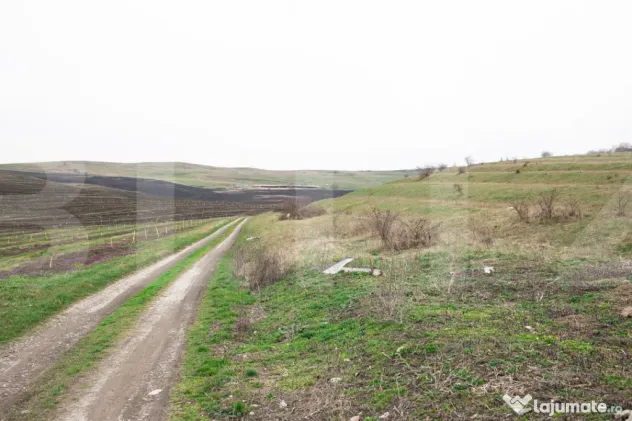 Teren 5800 mp în Câmpenești – cadru natural deosebit, i