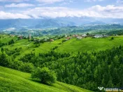 7.000 mp, pozitie spectaculoasa, fara vecini, Fundatica, Bra 