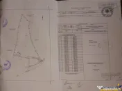 7.000 mp, pozitie spectaculoasa, fara vecini, Fundatica, Bra 