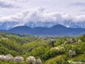 7.000 mp, pozitie spectaculoasa, fara vecini, Fundatica, Bra 