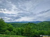 7.000 mp, pozitie spectaculoasa, fara vecini, Fundatica, Bra 