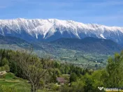 7.000 mp, pozitie spectaculoasa, fara vecini, Fundatica, Bra 