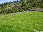 7.000 mp, pozitie spectaculoasa, fara vecini, Fundatica, Bra 