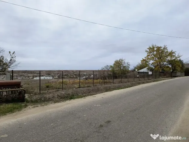 Teren Intravilan Alimănești – Loturi de Casă la Asfalt, 861mp
