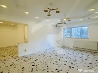 Garsoniera 42 mp, Aviatiei – Serbanescu, Parter stradal -I 