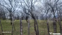 TEREN INTRAVILAN VEDERE PANORAMICA 3781 MP La 2 km de Manas