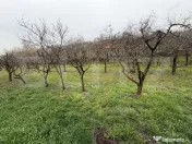 Casă cu 2 camere și un teren de 1000 mp 