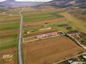 FILM! Ferma de iepuri,Malnas,Covasna: domeniu:comercial indu 