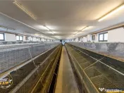 FILM! Ferma de iepuri,Malnas,Covasna: domeniu:comercial indu 