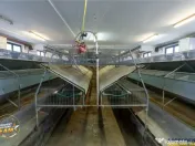 FILM! Ferma de iepuri,Malnas,Covasna: domeniu:comercial indu 