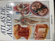 Atlas medical anatomie