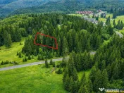 FILM! 1.000 mp,PUZ,regim P 2 M,destinatii turistice rezident 