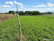 Stupini: Teren 3600mp, Front 16.5m la Asfalt, Utilitati 