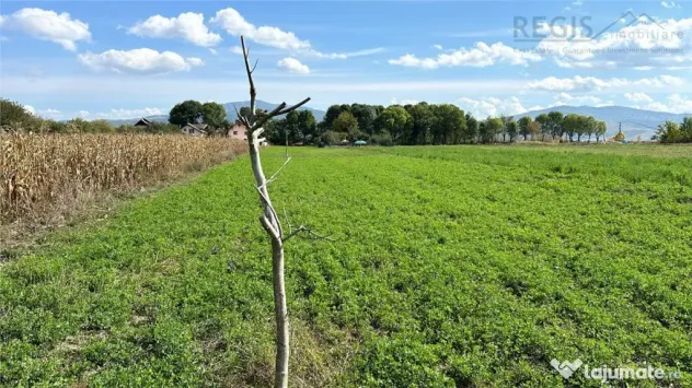 Stupini: Teren 3600mp, Front 16.5m la Asfalt, Utilitati