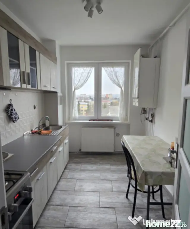 Apartament 2 camere, 44 mp, zona Victor Babes - Baia Mare (Maramures)