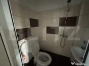 Casa de vanzare, in Hereclean 