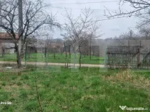 TEREN zona aer curat CASA si ANEXA