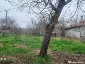 TEREN zona aer curat CASA si ANEXA 