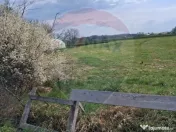 Teren 1,439mp Santaul Mare / Strada principala 