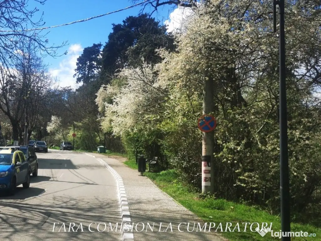 ALEEA CASTANILOR - APARTAMENT IN VILA, PARTER